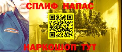 гашик Чапаевск