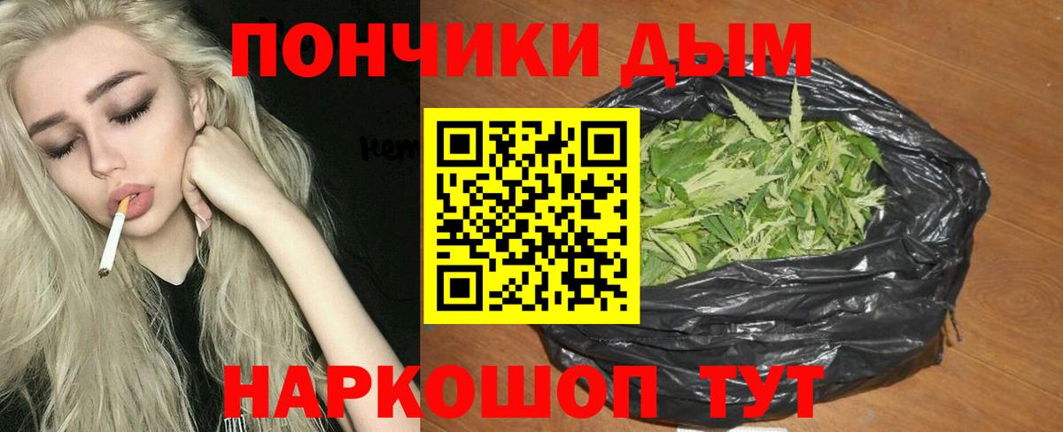 Бошки Шишки Amnesia Жуковский